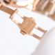 20260113 09 (1)_th.jpg